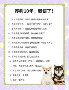 健康社交添乐趣，忠诚伴侣解孤独（帮我写养狗的好处）