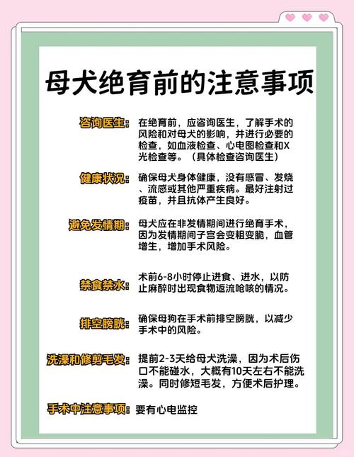 狗狗绝育后伤口护理全攻略(狗绝育后多久恢复) 狗狗绝育后伤口护理全攻略(狗绝育后多久恢复)