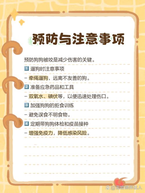 狗咬伤?快清洗别包扎,打疫苗最重要!(被狗咬了注意事项) 狗咬伤?快清洗别包扎,打疫苗最重要!(被狗咬了注意事项)