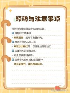 狗咬伤？快清洗别包扎，打疫苗最重要！（被狗咬了注意事项）