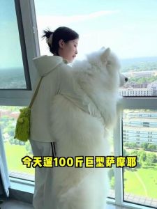 女主人安乐死攻击犬引争议（女人养100斤大狗）
