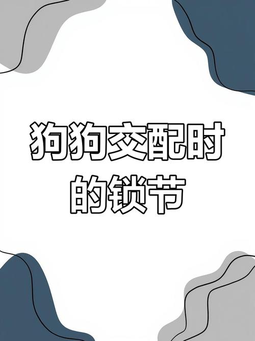 狗狗交配锁住是自然现象(配狗为什么会锁住) 狗狗交配锁住是自然现象(配狗为什么会锁住)