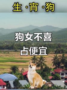 喜欢狗的女生温柔忠诚，从狗狗入手赢得好感（喜欢狗的女性格怎样）