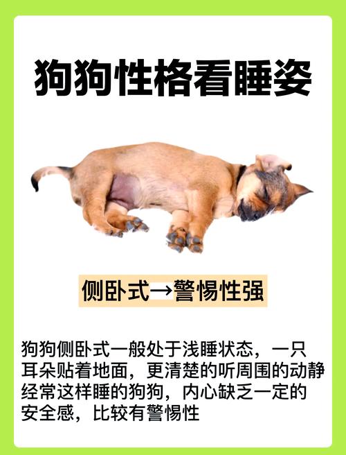 狗狗闭眼享受抚摸,信任与舒适感的表现(为什么狗狗让人插上会闭上眼睛享受) 狗狗闭眼享受抚摸,信任与舒适感的表现(为什么狗狗让人插上会闭上眼睛享受)