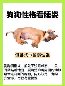 狗狗闭眼享受抚摸，信任与舒适感的表现（为什么狗狗让人插上会闭上眼睛享受）
