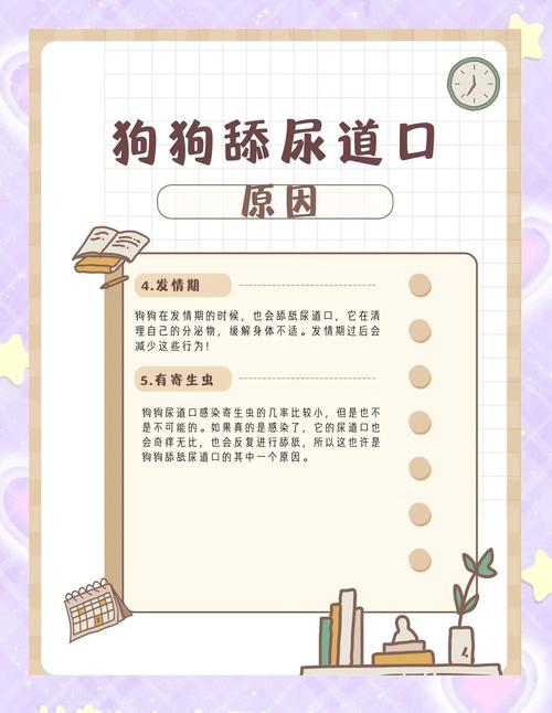 了解与观察(狗的繁殖部位图) 了解与观察(狗的繁殖部位图)