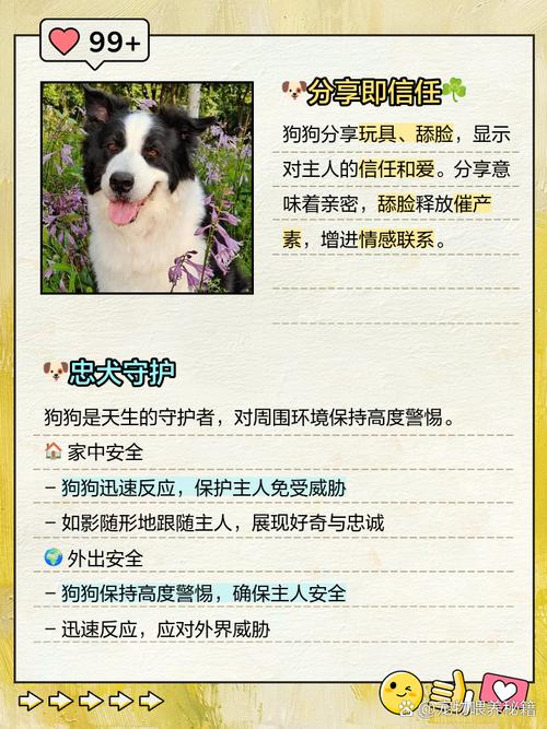 狗狗对主人深情流露,忠诚表现多样,珍惜这份纯粹的爱(狗狗对主人的感情) 狗狗对主人深情流露,忠诚表现多样,珍惜这份纯粹的爱(狗狗对主人的感情)