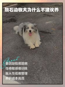 养狗是个人选择，无关性别（女不养狗的真正原因）