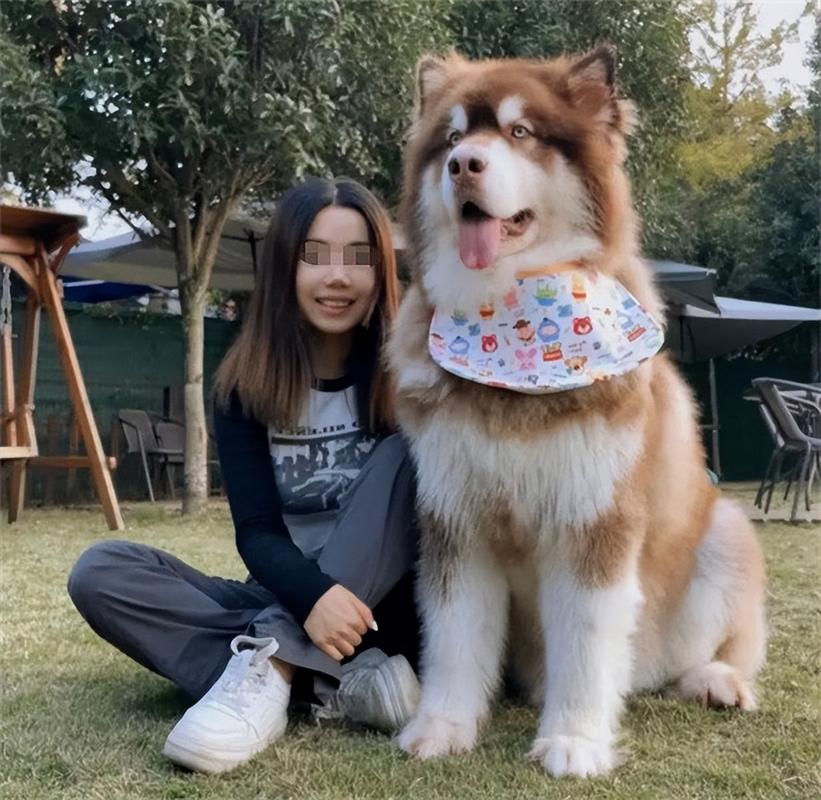 独居女生养狗，安全感加倍！（独居女生适合养什么狗）