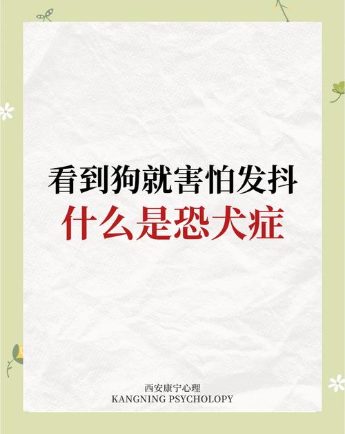 怕狗？科学方法帮你克服恐惧！（怕狗的人对狗特别敏感）