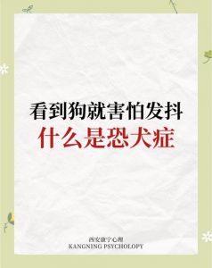 怕狗？科学方法帮你克服恐惧！（怕狗的人对狗特别敏感）