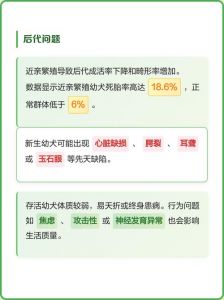 提纯血统风险大，健康快乐更重要（狗狗近亲繁殖的利与弊）