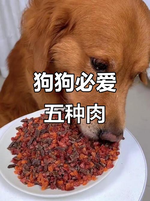鱼牛肉羊兔,去骨煮熟,合理搭配更健康!(狗喜欢吃什么肉类) 鱼牛肉羊兔,去骨煮熟,合理搭配更健康!(狗喜欢吃什么肉类)