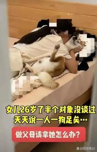 情感文化天性共织纽带（女子和狗狗为什么粘在一起了）