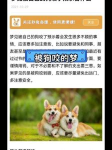 情感复杂，期待理解与忠诚（梦到小黑狗添我）