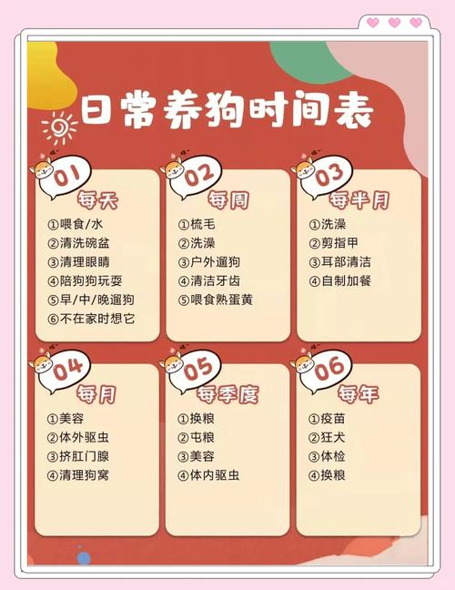 幼犬打狂犬疫苗需满3个月且体重达标（狗最小多大能打狂犬）