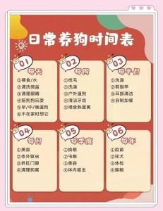幼犬打狂犬疫苗需满3个月且体重达标（狗最小多大能打狂犬）
