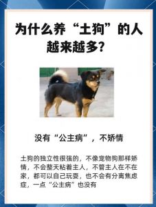 养狗女人能结婚？别带偏见看！（养狗的女人为什么不能娶）