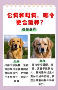 狗狗生母是本能，别羞耻，科学管理避免遗传病（狗狗为什么喜欢和母亲繁殖）