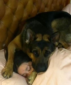 打破传统！男人可以养猫，女人可以养狗（男不养猫女不养狗的真正原因是真的）