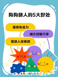 友善温柔摸狗狗，狗狗喜欢爱干净人（为什么有的人很招小狗狗喜欢）
