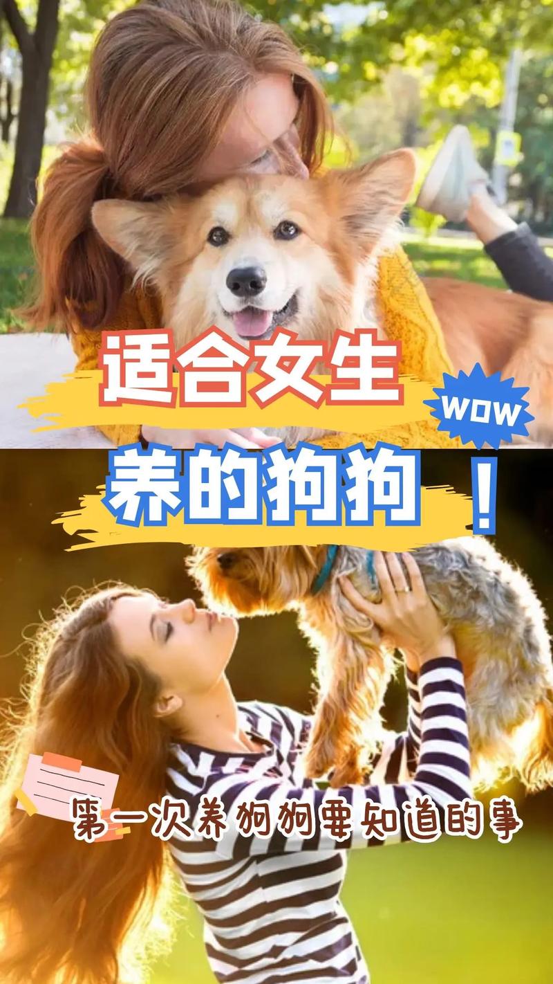 陪伴健康减压增安全感（女生养大狗的好处）