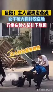 女子遛狗被发情犬扑倒 路人相助引文明养宠反思（山东遛狗女生被狗扑倒）