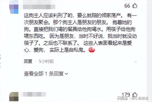 遛狗不拴绳推卸责任,孩子父亲摔狗引热议(养狗女子毁三观聊天) 遛狗不拴绳推卸责任,孩子父亲摔狗引热议(养狗女子毁三观聊天)