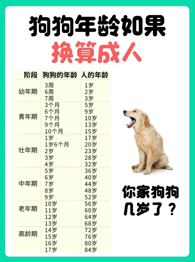2023属狗人年龄虚岁和周岁计算，运势平稳（属狗的最小的多大了）