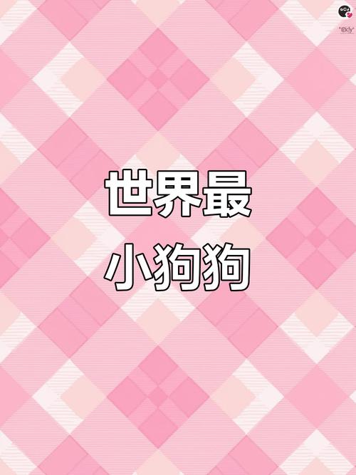 最细狗狗仅7.62厘米,吉娃娃最轻仅1-3公斤(世界最小的狗是什么狗) 最细狗狗仅7.62厘米,吉娃娃最轻仅1-3公斤(世界最小的狗是什么狗)