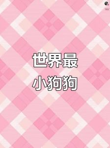 最细狗狗仅7.62厘米，吉娃娃最轻仅1-3公斤（世界最小的狗是什么狗）