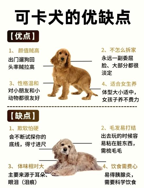狗狗交配背靠背,提高受孕率!(狗狗为什么会卡在一起结构图配) 狗狗交配背靠背,提高受孕率!(狗狗为什么会卡在一起结构图配)