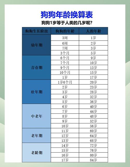 狗狗牙齿看年龄,科学喂养助长寿(怎么看狗狗的年龄图解) 狗狗牙齿看年龄,科学喂养助长寿(怎么看狗狗的年龄图解)