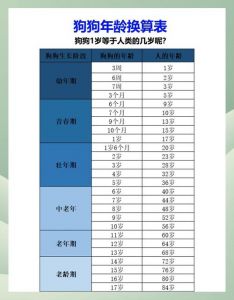 狗狗牙齿看年龄，科学喂养助长寿（怎么看狗狗的年龄图解）