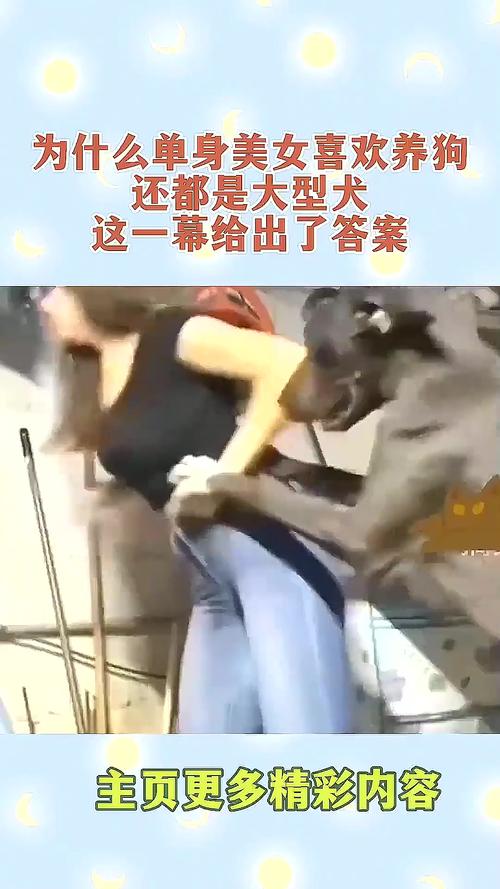 广州捡瓶网红狗小白遭投毒,粉丝隔离保护,呼吁文明养宠(毁三观女人养狗群聊天) 广州捡瓶网红狗小白遭投毒,粉丝隔离保护,呼吁文明养宠(毁三观女人养狗群聊天)