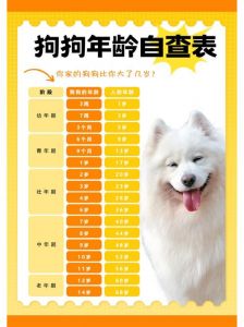 狗狗年龄换算器，轻松知道它相当于多少岁！（狗年龄换算人类）