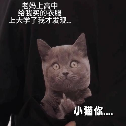 猫咪学人竖中指,笨拙模仿超有趣!(女子竖中指手势猫立刻配对成功) 猫咪学人竖中指,笨拙模仿超有趣!(女子竖中指手势猫立刻配对成功)