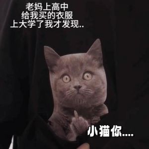 猫咪学人竖中指，笨拙模仿超有趣！（女子竖中指手势猫立刻配对成功）