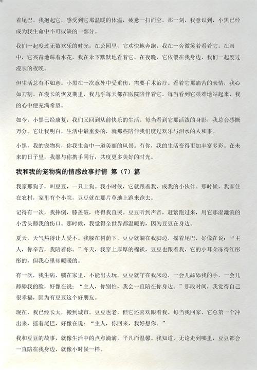 么西么西，我的白色狐狸狗，调皮又可爱！（我与我的狗的故事）