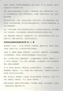 么西么西，我的白色狐狸狗，调皮又可爱！（我与我的狗的故事）