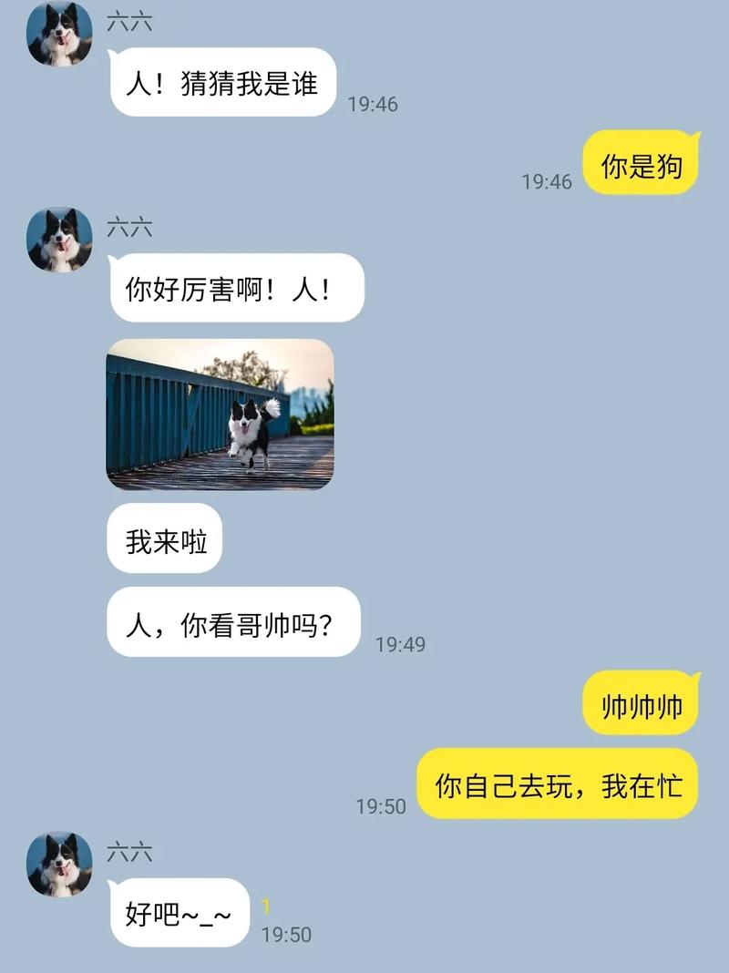 情感寄托与深厚情谊(女人和狗的群聊天记录) 情感寄托与深厚情谊(女人和狗的群聊天记录)