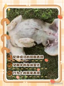 臣服母职与情人关系解析（愿意做母狗的女人心理分析）