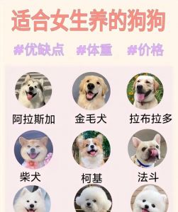 已婚女性出轨增多，主因情感忽视经济独立和社会变化（喜欢做母狗的女人比例多少）