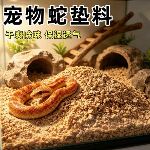 玉米蛇饲养小窍门(玉米蛇怎么养才会认主人) 玉米蛇饲养小窍门(玉米蛇怎么养才会认主人)