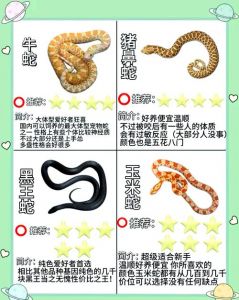 红点锦蛇新手友好（最便宜的宠物蛇多少钱一只）