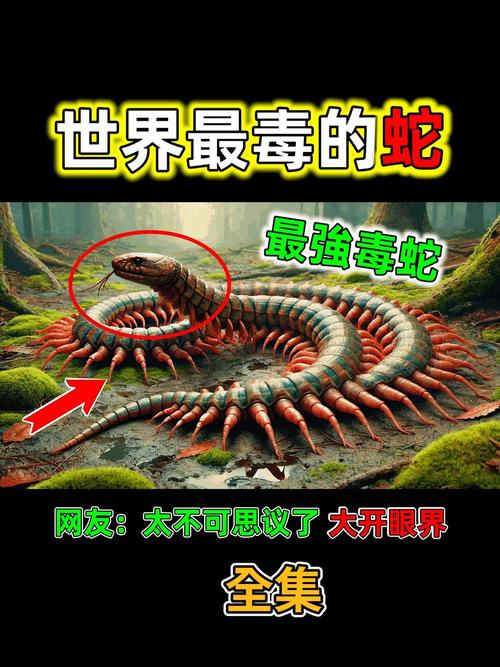 毒蛇虽温和，致命不可挡！（全世界毒蛇排行榜）