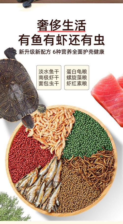 高蛋白幼龟粮配虫虾,助消化!(幼年小乌龟吃什么) 高蛋白幼龟粮配虫虾,助消化!(幼年小乌龟吃什么)