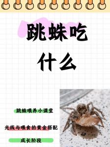 爱吃果蝇不爱蚊子（小跳蛛在家吃蚊子吗）