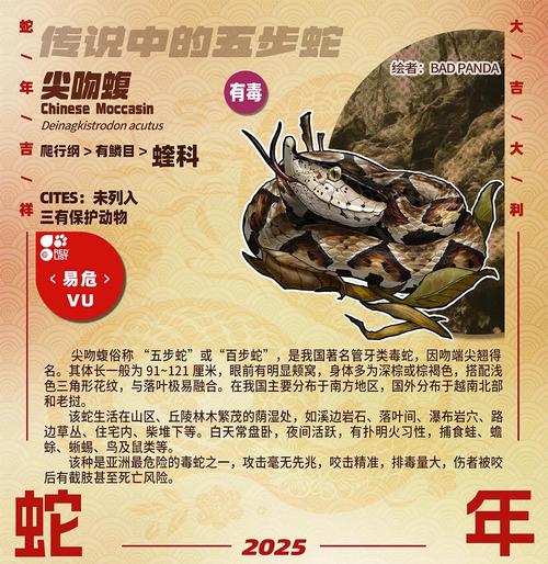 危险多样，生态重要（中国27种毒蛇排名照片）