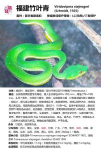 不止一种，毒性各异，注意防范（竹叶青蛇与五步蛇对比）